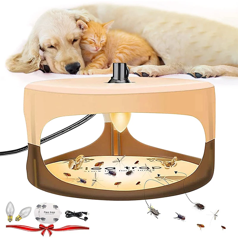 ΠΠΎΠ²ΡΡΠΊΠ° Π΄Π»Ρ Π±Π»ΠΎΡ
, ΠΊΠ»Π΅ΠΉΠΊΠ°Ρ ΠΊΡΠΏΠΎΠ»ΡΠ½Π°Ρ Π»ΠΎΠ²ΡΡΠΊΠ° Π΄Π»Ρ ΠΊΠ»ΠΎΠΏΠΎΠ², Π»ΠΎΠ²ΡΡΠΊΠ° Π΄Π»Ρ Π±Π»ΠΎΡ
Ρ 2 Π»ΠΈΠΏΠΊΠΈΠΌΠΈ Π΄ΠΈΡΠΊΠ°ΠΌΠΈ, Π»Π°ΠΌΠΏΠΎΡΠΊΠ° Π΄Π»Ρ Π²Π½ΡΡΡΠ΅Π½Π½Π΅Π³ΠΎ ΠΎΡΠ²Π΅ΡΠ΅Π½ΠΈΡ, Π»ΠΎΠ²ΡΡΠΊΠ° Π΄Π»Ρ Π±Π»ΠΎΡ
, ΠΌΠΎΡΡΠ»ΡΠΊΠ° Π΄Π»Ρ ΠΊΠ»ΠΎΠΏΠΎΠ² ΠΠΎΠ²ΡΡΠΊΠ° Π΄Π»Ρ Π±Π»ΠΎΡ
, ΠΊΠ»Π΅ΠΉΠΊΠ°Ρ ΠΊΡΠΏΠΎΠ»ΡΠ½Π°Ρ Π»ΠΎΠ²ΡΡΠΊΠ° Π΄Π»Ρ ΠΊΠ»ΠΎΠΏΠΎΠ², Π»ΠΎΠ²ΡΡΠΊΠ° Π΄Π»Ρ Π±Π»ΠΎΡ
Ρ 2 Π»ΠΈΠΏΠΊΠΈΠΌΠΈ Π΄ΠΈΡΠΊΠ°ΠΌΠΈ, Π»Π°ΠΌΠΏΠΎΡΠΊΠ° Π΄Π»Ρ Π²Π½ΡΡΡΠ΅Π½Π½Π΅Π³ΠΎ ΠΎΡΠ²Π΅ΡΠ΅Π½ΠΈΡ, Π»ΠΎΠ²ΡΡΠΊΠ° Π΄Π»Ρ Π±Π»ΠΎΡ
, ΠΌΠΎΡΡΠ»ΡΠΊΠ° Π΄Π»Ρ ΠΊΠ»ΠΎΠΏΠΎΠ²