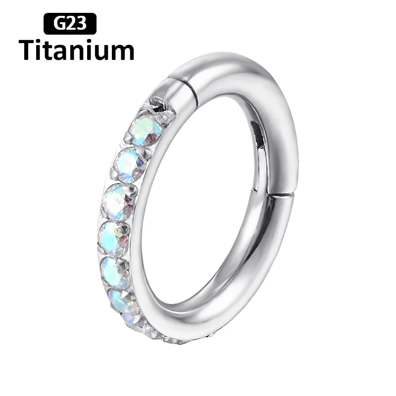 pioroe ASTM F136 Titanium Segment Ring 16G 6