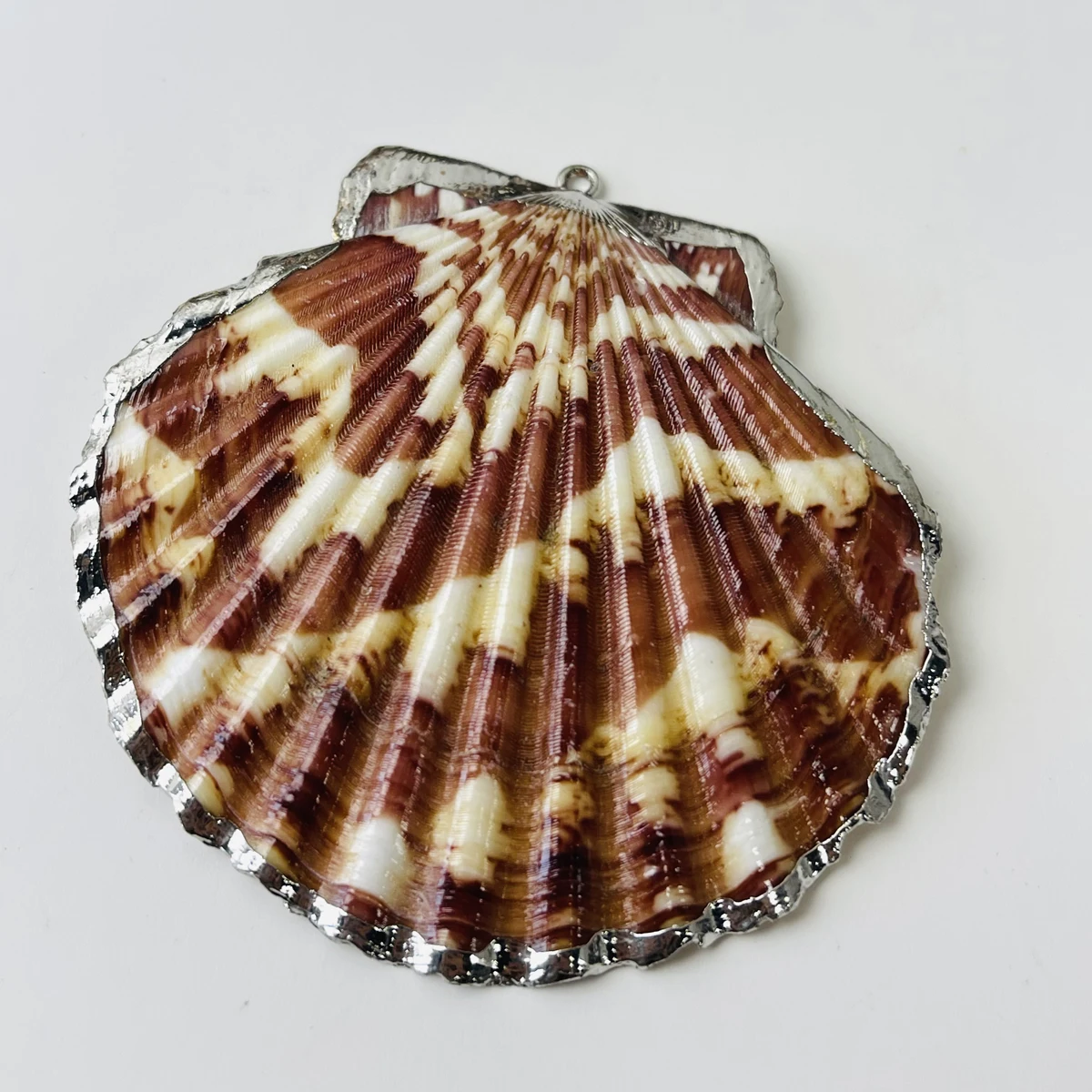 

10pc Natural Mother-of-pearl Pendants Reiki Heal Seashell Scallop Charms for Tribal Jewelry Making DIY Necklace Earrings Gift