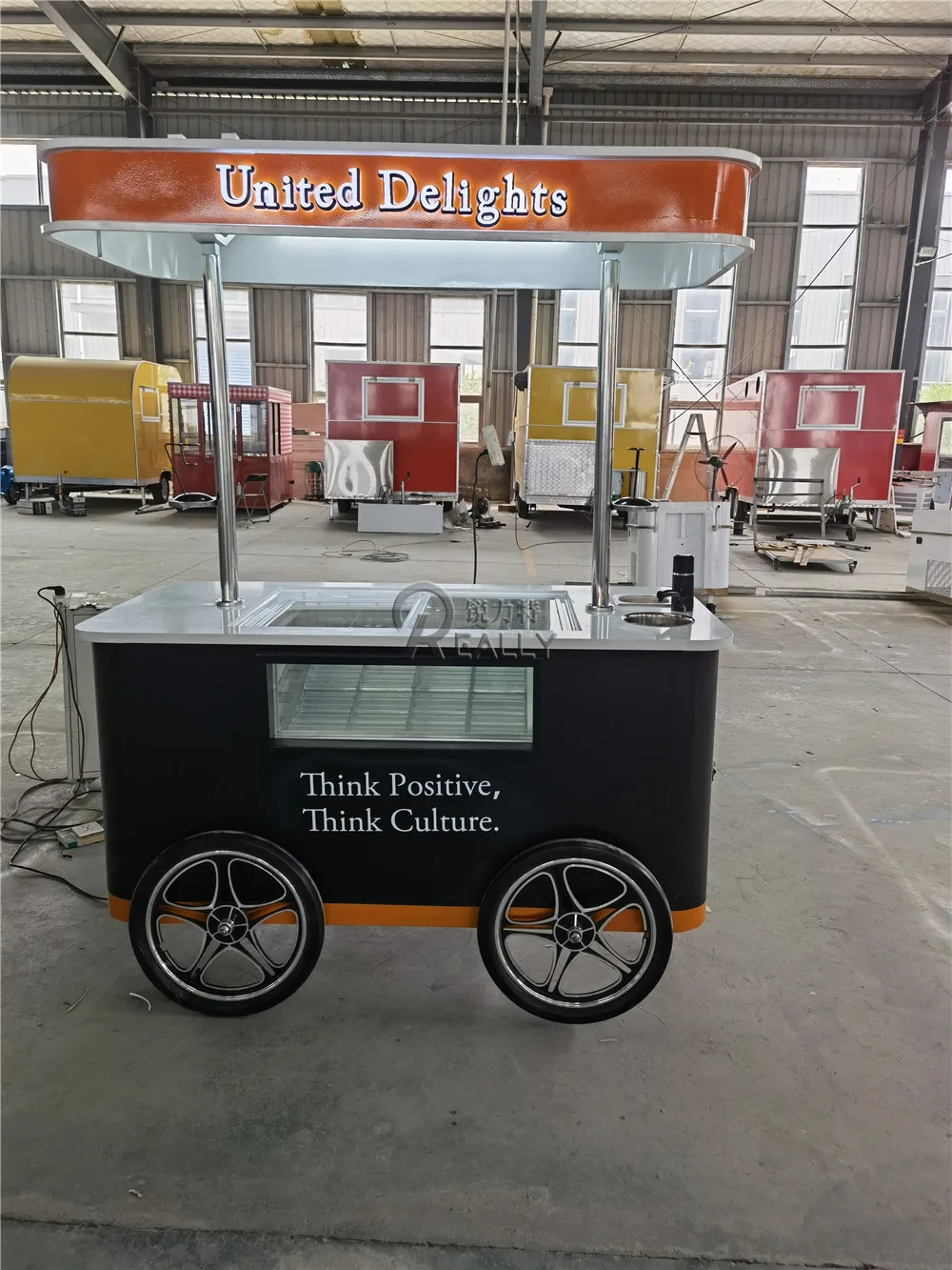 Customized 6 Barrels/10 Boxes/Popsicles Gelato Push Hand Ice Cream Vending Cart Juice Milk Hot Dog Trolley Freezer Bicycle