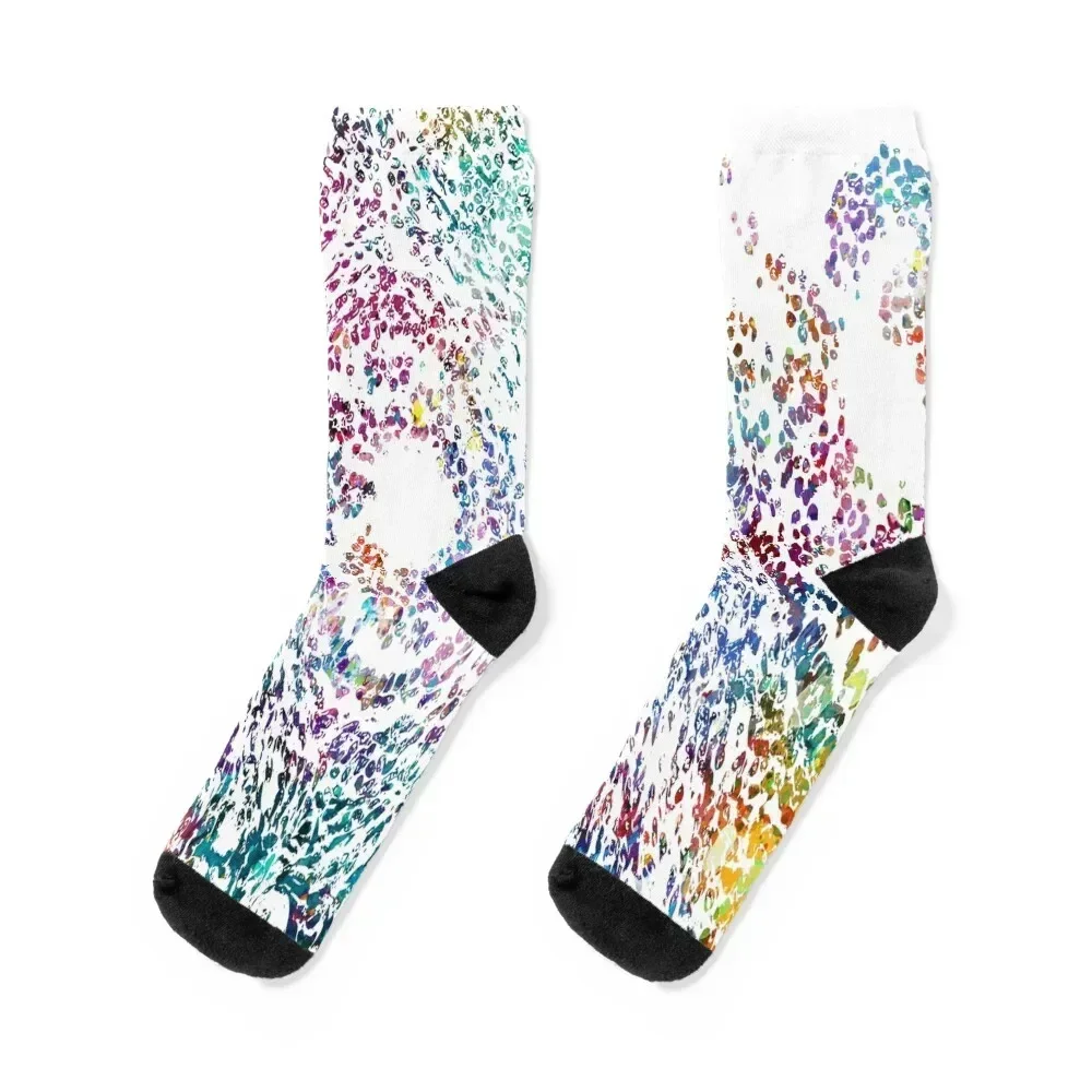 

Ovary Histology Socks Soccer Heating sock gym funny gift Socks For Man Women's