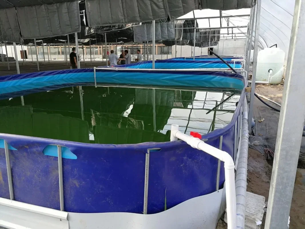 Quality worry free Plastic Fish Breeding Tank PVC Fish Shrimp Farming Tank PVC Fish Pond In Big Size 2400