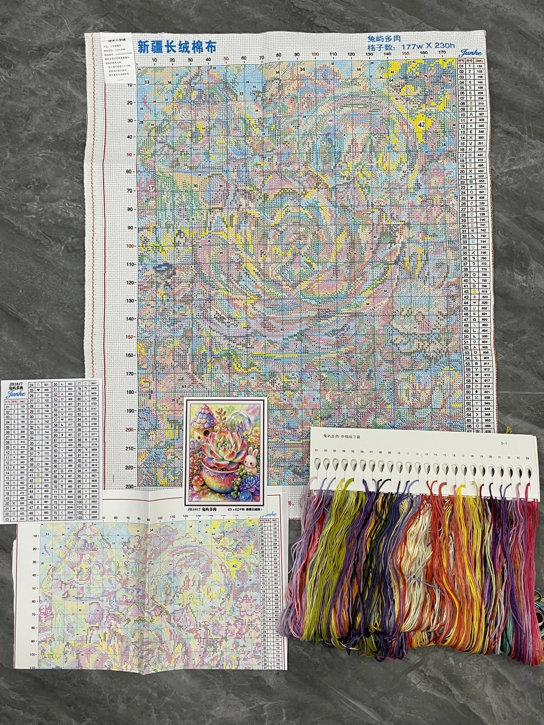 Kit de broderie au point de cr - Cotton Embroidery Thread Skeins avis et prix