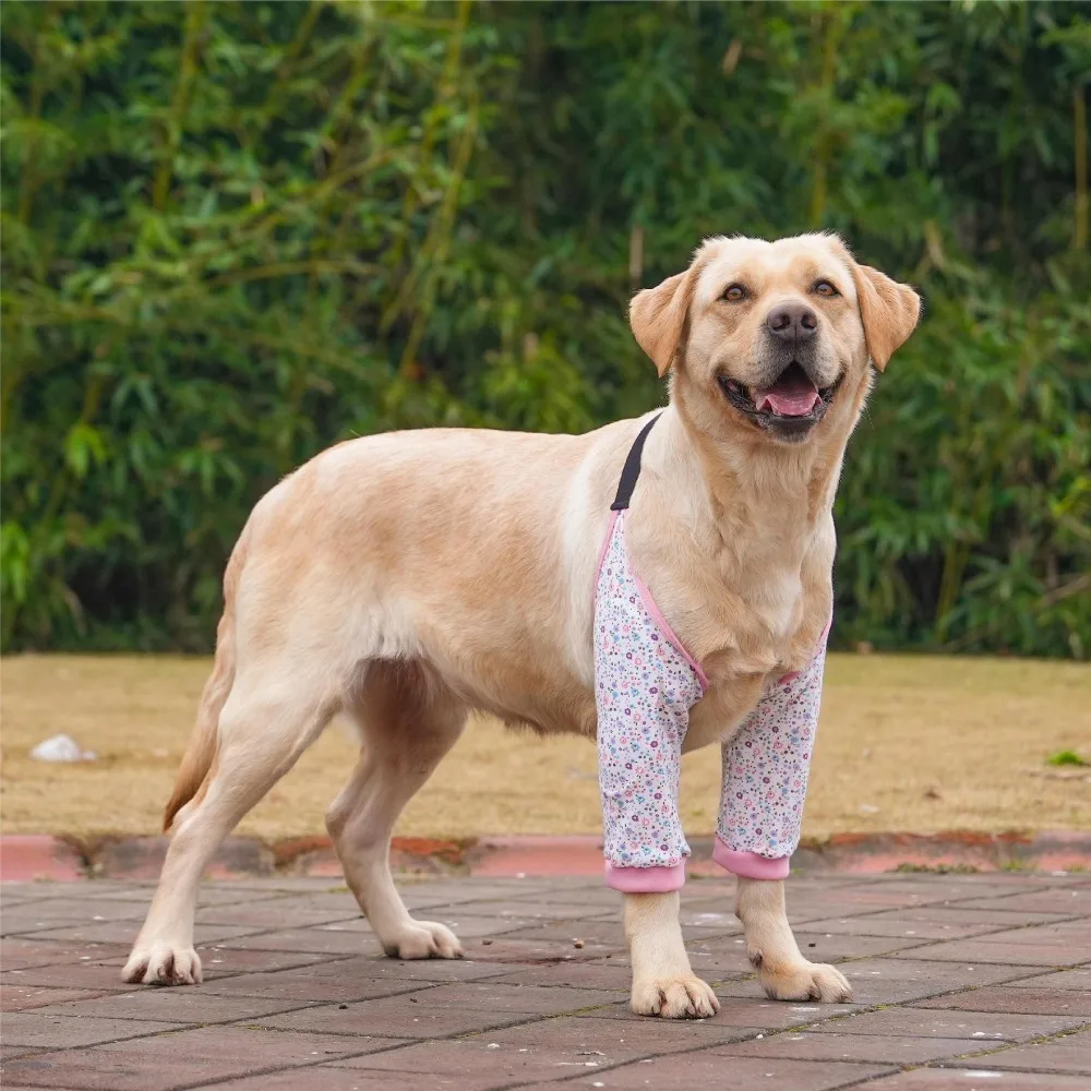 

Practical Cartoon Pattern Dog Elbow Sleeves Cotton Soft Dog Elbow Protector Shoulder Support Brace Pet Knee Pads for Elbow Brace