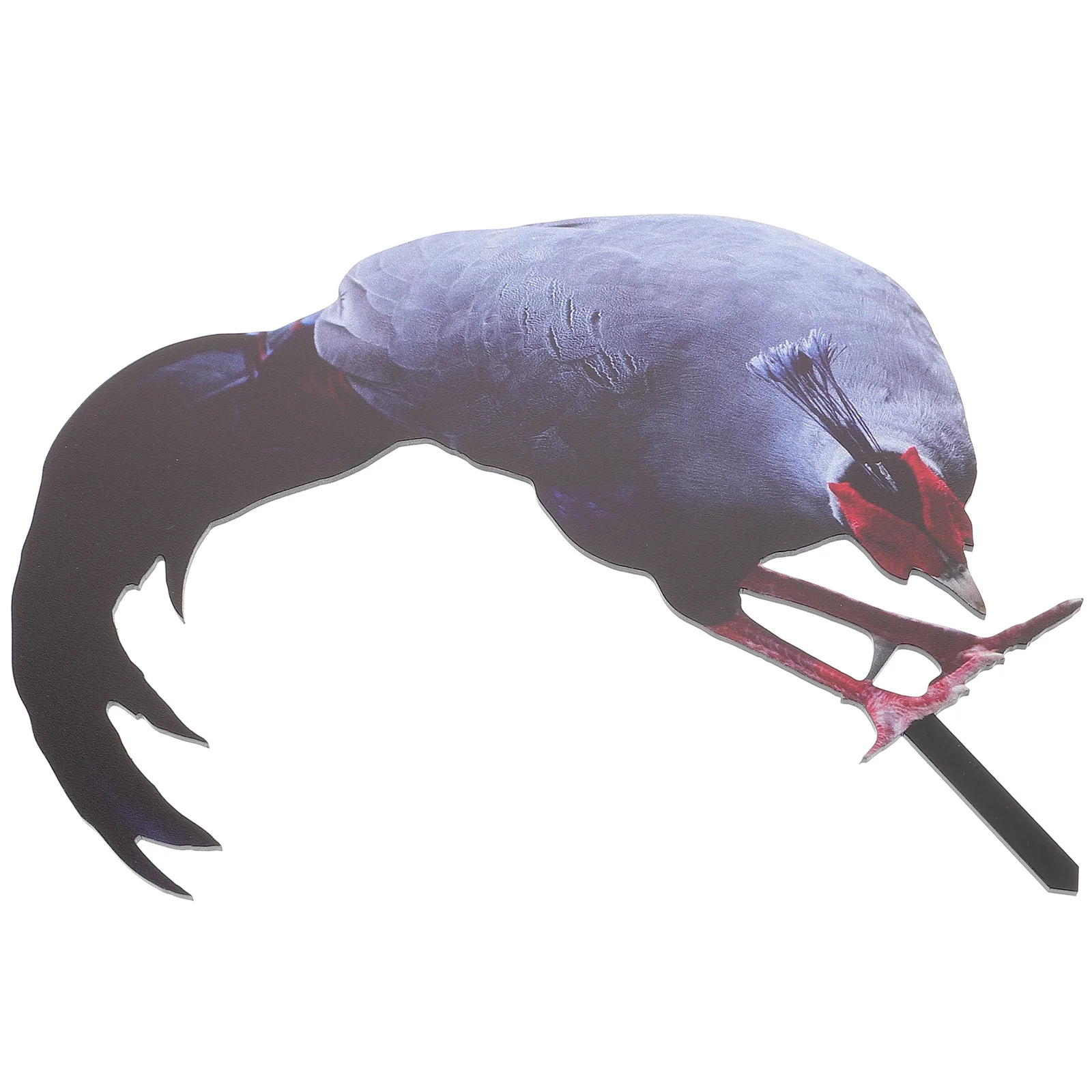 

Garden Chicken Stake Acrylic Lawn Chicken Stake Durable Outdoor Yard Decoration Courtyard Garden Ornament Outdoor Yard Ornament