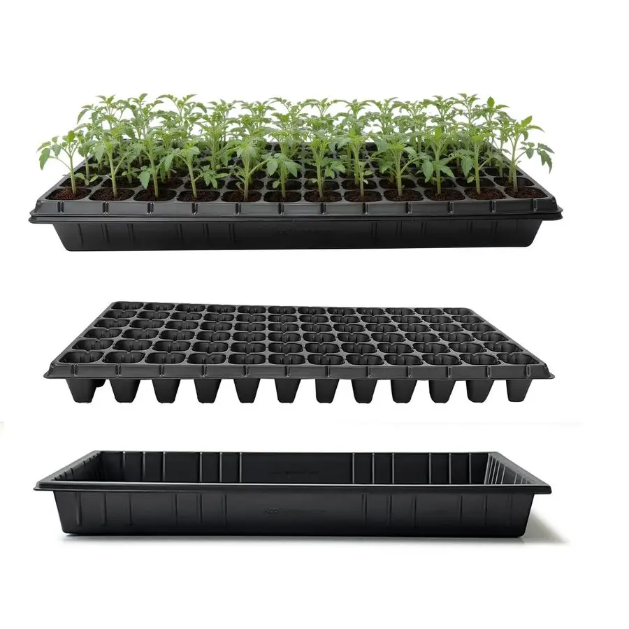 

Pack 1020 Seed Starter Trays and 10 Pcs 72 Cell Plug Trays, Thick Durable Seedling Plastic Nursery Tray for TD538 1020 Tray Germ