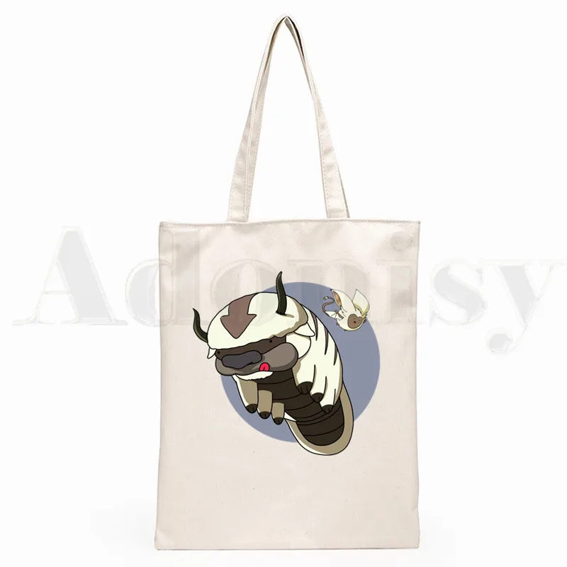 Avatar The Last airdobladora Aang y Appa Anime gráfico Hipster bolsas de compras con estampado de dibujos animados para niñas, moda informal, bolso de mano Pacakge