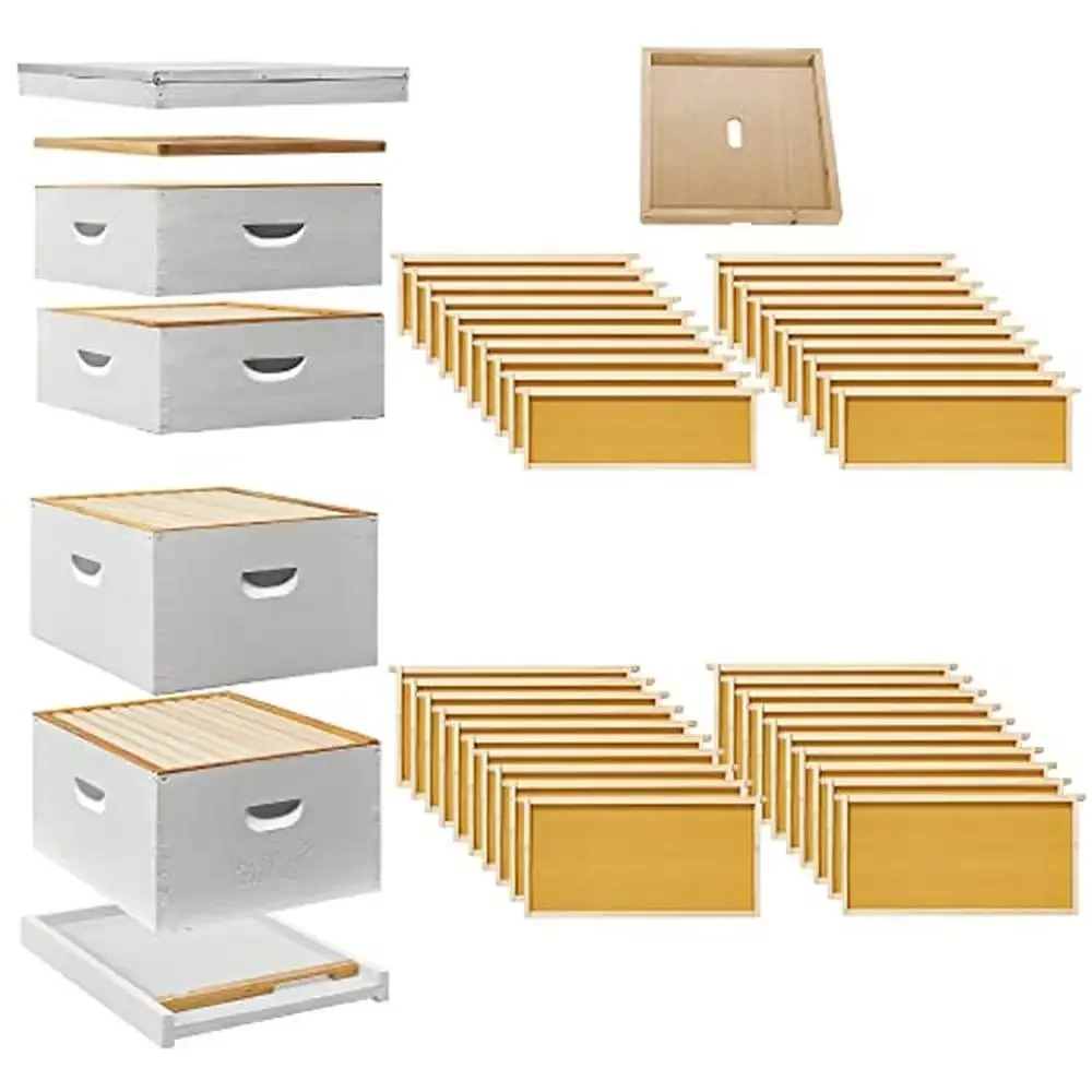 Fully Assembled Beehive Kit 10 Frame 2 Deep Brood Boxes 2 Medium Supers Fir Wood Durable Design Premium Frames & Foundation