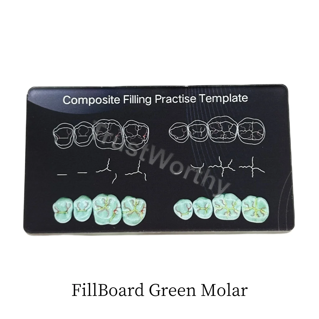 

G-Molar Dental Composite Resin Filling Practise Template Teeth Morphology Board Anatomical Model Study Board