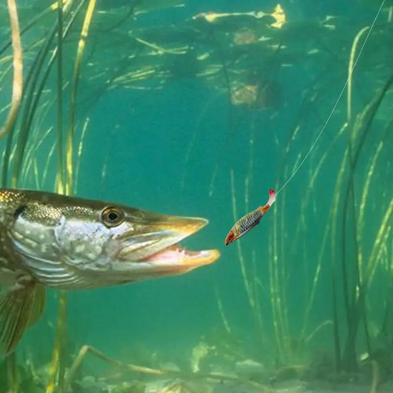 Weiche Angelköder, realistische Barschköder, 2er-Set, Angelköder, Barsch, wirksamer Angelköder, weich und robust, für Salzwasser und