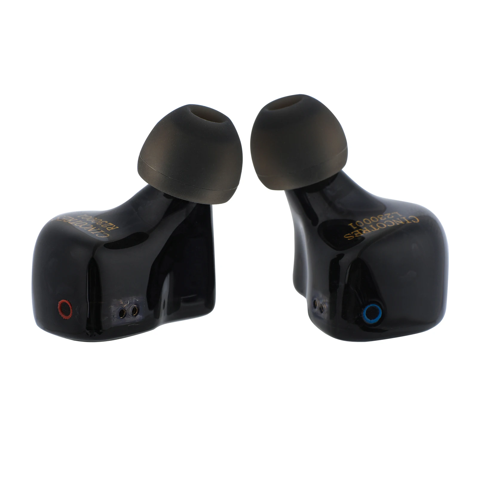 ZiiGaat Cincotres 2DD+3BA Hybrid IEM HiFi Earphone Studio Tuning with Detachable High-purity Cable for Audiophiles