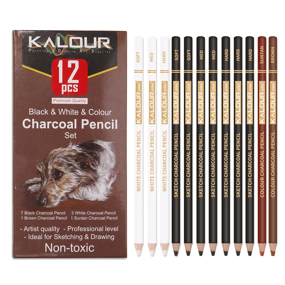 KALOUR 6/12 Carbon Pencil Professional White Charcoal Highlight Pencil White Black Colour Carbon Sketch Pencil Art Drawing Tools