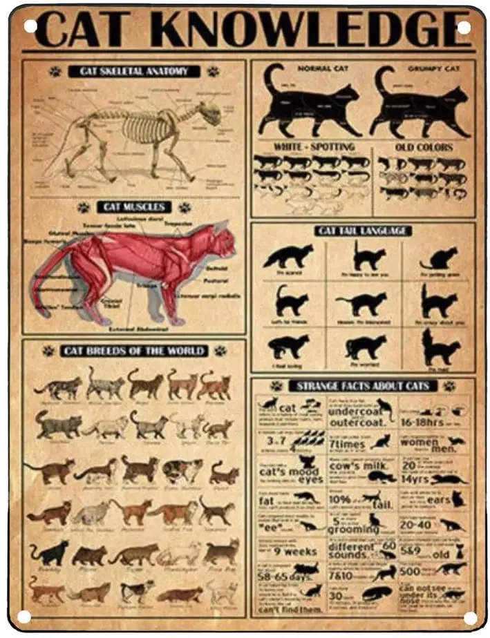 Retro Metal Signs Funny Cat Knowledge Tin Sign No Frame, Cat Breeds Wall Art, Kitten Guide Facts About Cat, Cat Lover Gifts