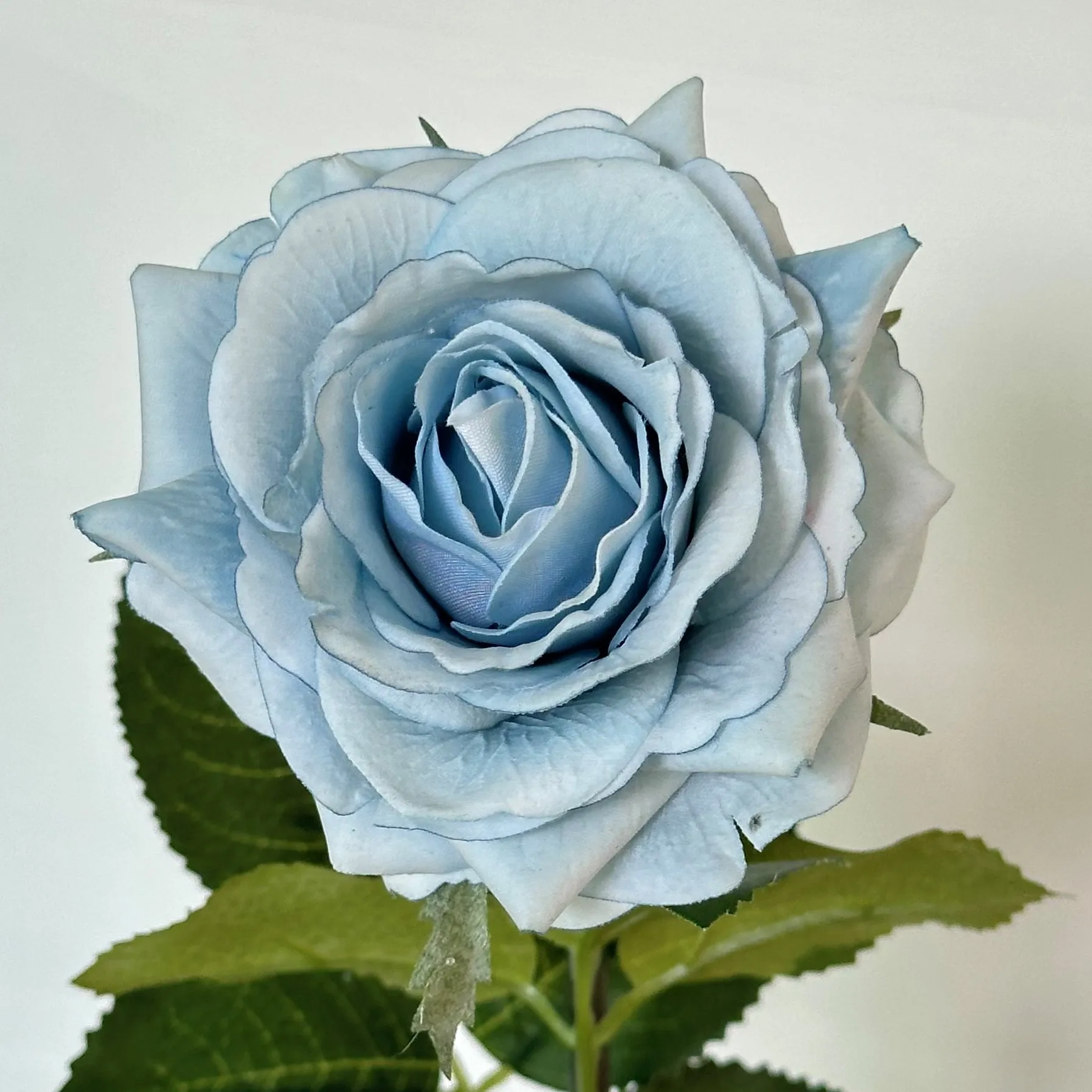 5 Stück Feuchtigkeitsspendende Rosen mit Echtem Touch, Künstliche Blumen für Hochzeitsdekoration, Brautstrauß, Kunstrosen für Party, Heim- und Tischdekoration – Detail 3