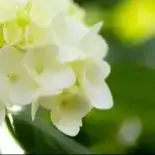 

14.8V 4S6P 20Ah 18650 rechargeable lithium-ion battery with built-in BMS for night fishing light heater backup battery