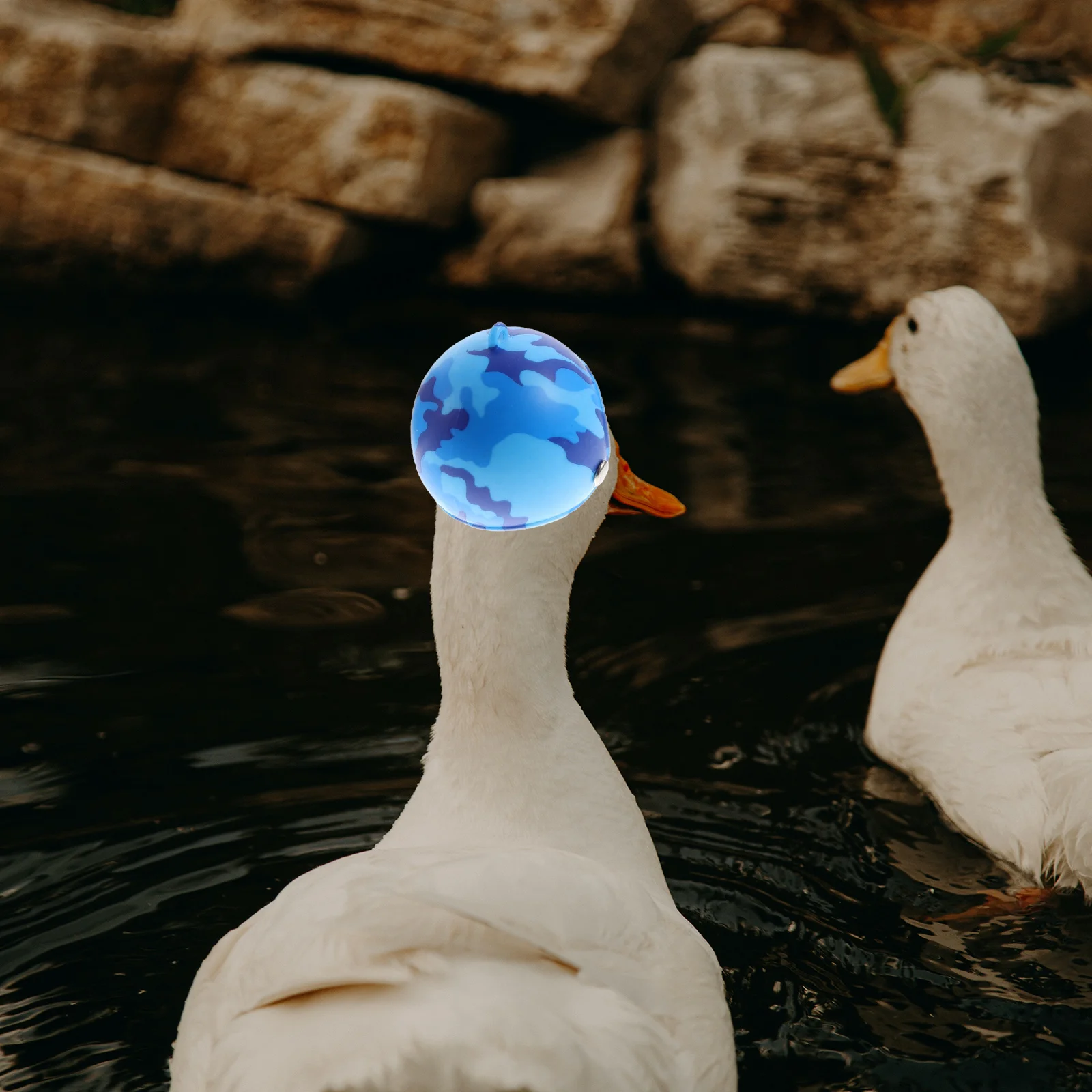 

4Pcs Chicken Helmets for Hens Soft Plastic Poultry Headgear Adjustable Size Anti Pecking Injury Prevention Pet Hat