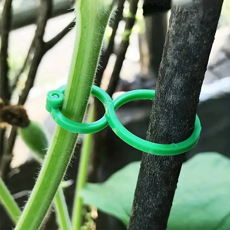 Gardening 8-figure clip garden green plant tomato vine binding plastic clip garden plant 8-figure buckle fastening buckle