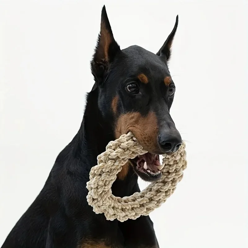 Langlebiges Seil-Hundespielzeug - Gedrehtes Ringdesign für Zahnreinigung & Spielspaß, ideal für mittlere bis große Rassen, Hundekauartikel