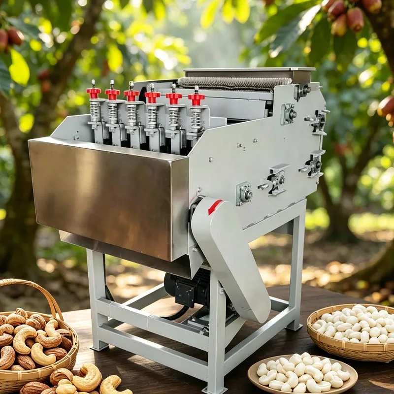 High Efficiency Cashew Shelling Machine for Automatic Raw Cashew Nut Cracking and Kernel Separation Customized
