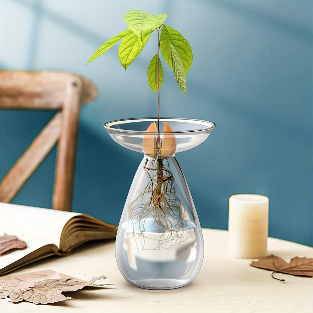 Avocado Hydroponic Vase Transparent Plant Propagation Station Glass Avocado Tree Flower Vase for Gardening Lovers