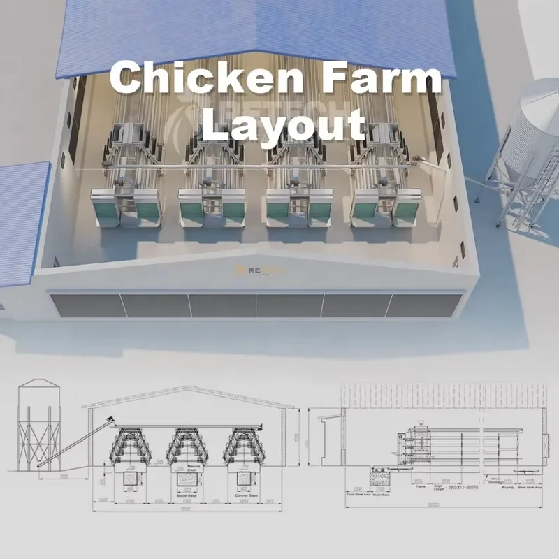 Free Plan Layout Modern Design Poultry Farm Automatic Cage Chicken House Steel Construction for Layer Broiler