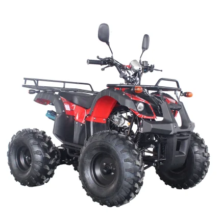 

Cool chinese design 110cc quad bike