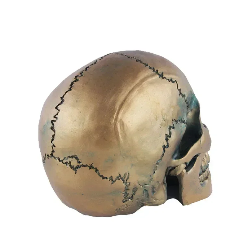 

Vilead Bronze Skull Head Resin Crafts Home Interior Room Aquarium Ornament Desktop Halloween Decoration Medical Teaching Sketch