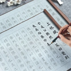Juego de tela de escritura con agua Sutra de corazón, juego de tela de escritura con agua reutilizable, pincel chino, caligrafía, desplazamiento de entrada, cuaderno