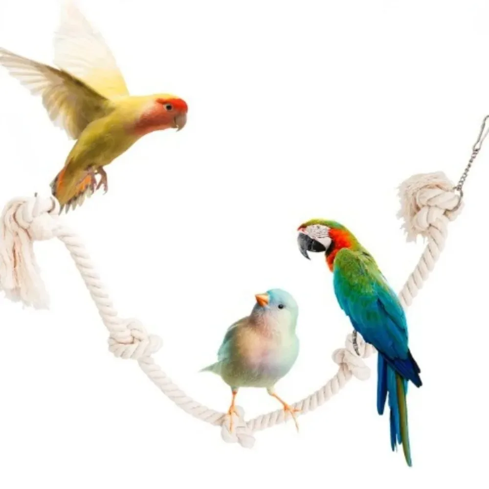 Pet Bird Parrot Cotton Rope Knot Climbing Hanging Cage Decor Swing Bite Resistant Chew Toy White Cotton Rope Parrot Standing Toy