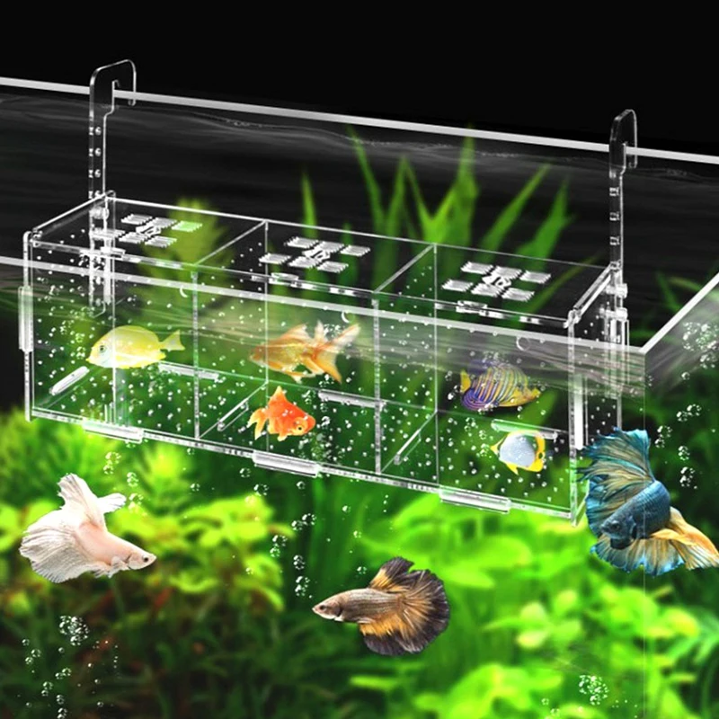 Aquarium Isolation Box Acrylic Fish Breeder Box Breeding Isolation Box Fish Hatchery Divider Aquarium Accessories Fish Supplies