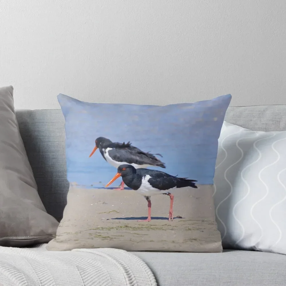 SHOREBIRD ~ Pied Oystercatcher hW72sWhJ by David Irwin Throw Pillow Marble Cushion Cover Pillow Cover pillow