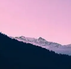 Android Multimedia … - image