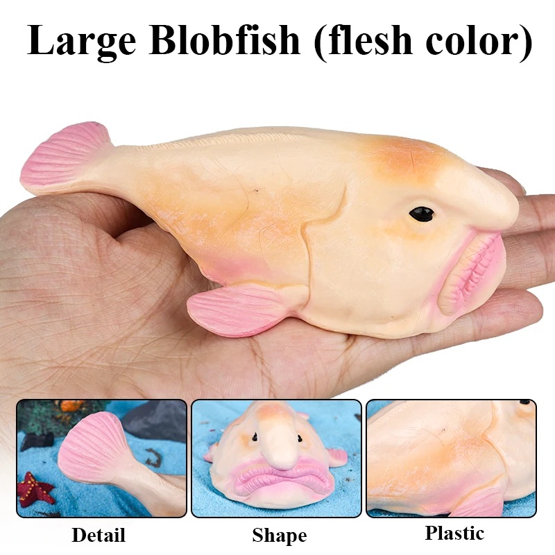 โมเดลปลาบลอฟิช (Blobfish) ของ  - Kids Education In Australia บทวิจารณ์และราคา