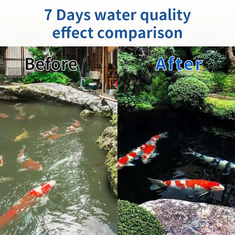 Qlozone factory price 5T/H fish pond filters mini aquarium koi rotary drum filter