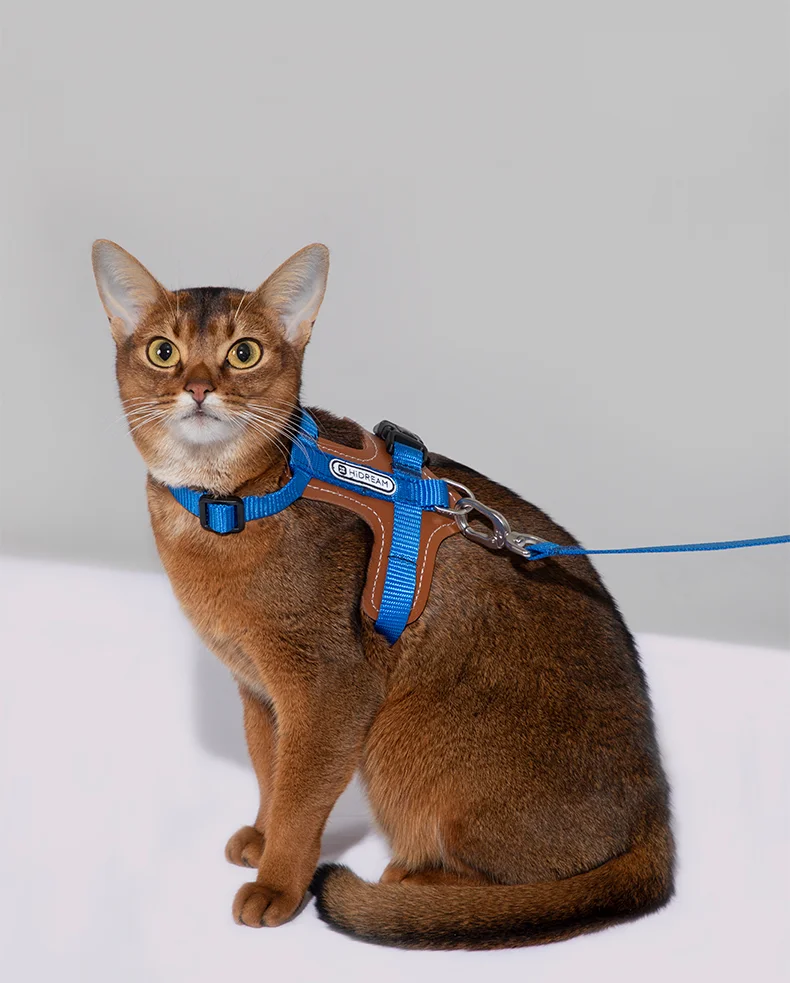 Cat Adjustable I-block Harnesses Leather Suspenders Set Anti-Break Vest-style And Cat Leash