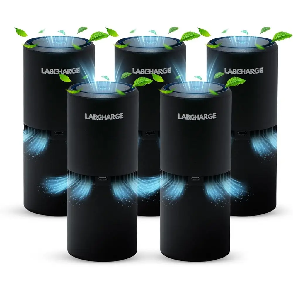 

Очиститель воздуха LabCharge Small Ionic Air для дома и спальни – бесшумный, с HEPA-фильтром – охватывает площадь 250 кв. футов – для удаления шерсти животных, дыма, пыли.