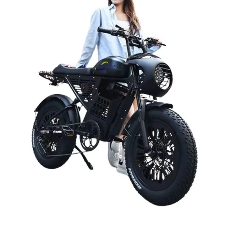 

STLF Fashion Customizable Appearance Super73 Electric Bike 1000W 48V High Speed 50km/h