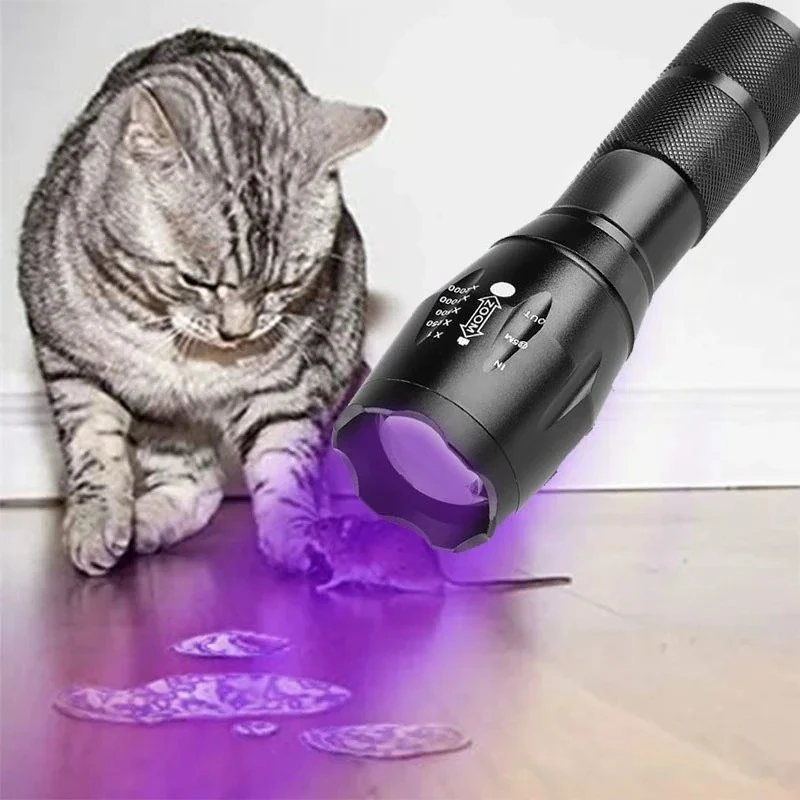 Mini Portable 365nm/395nm Rechargeable UV Flashlight - Pocket LED Blacklight Torch for Pet Urine Authentication, Leak Detection