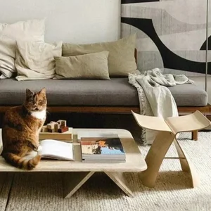 Bank, kelebek gri, ofset 4 renkli, doğal / siyah ceviz ahşap bankta bir odada zarif bir şezlong Moderna sergiliyor sandalyede en çok satılan 7 kelebek-no. 6