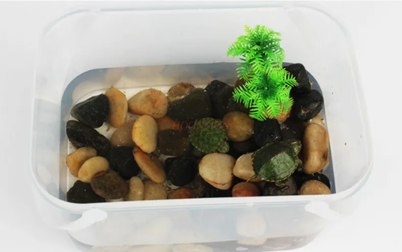 Small fish tank, turtle tank, mini pet breeding box, children's portable small plastic, children raising tadpoles