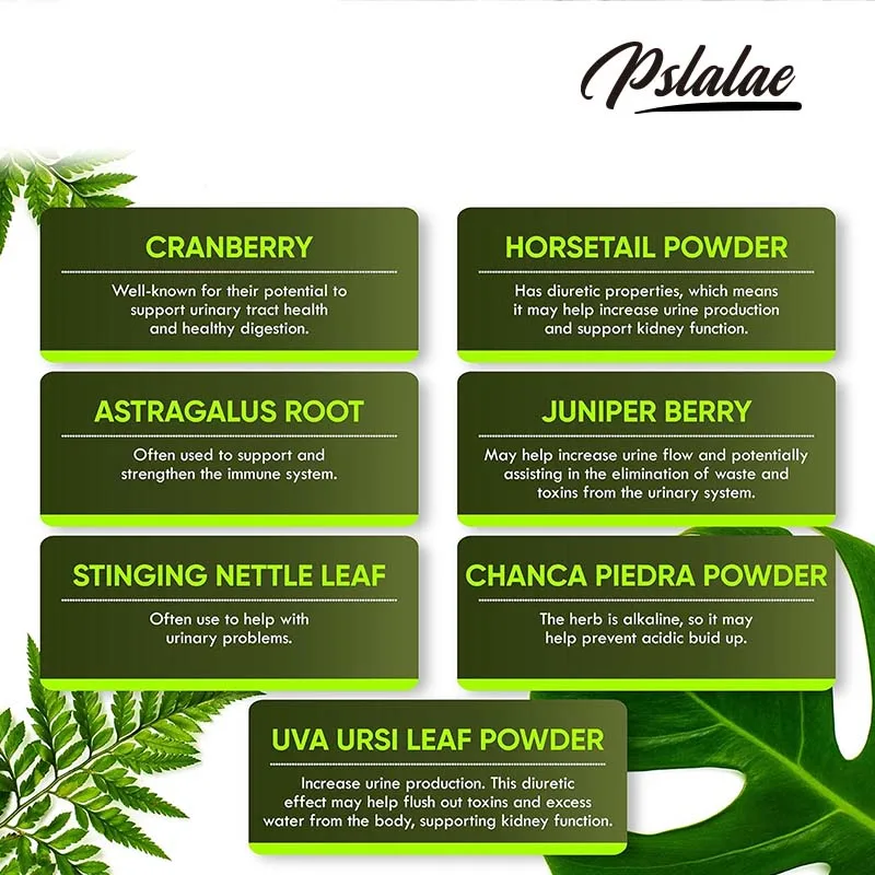 صحة الكلى ودعم المثانة - يعزز الطاقة، ويساعد جهاز المناعة، ويغسل وينظف الكلى والمثانة