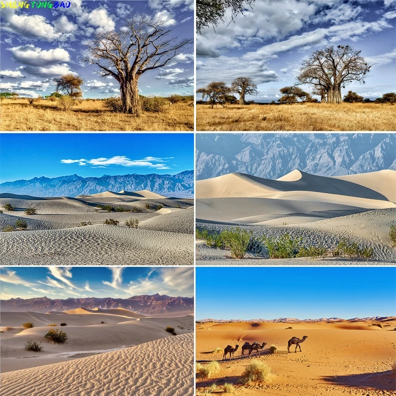 

Vast Sand Dunes Blazing Sun Desert Photography Backdrops Sunset Sky Rocks Safari Landscape Dried Tree Birthday Background DS-07