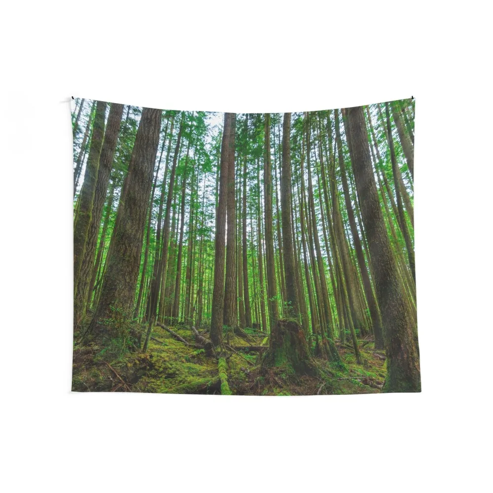 Endor Tapestry Room Decor Aesthetic Home And Comfort Decor Tapestry