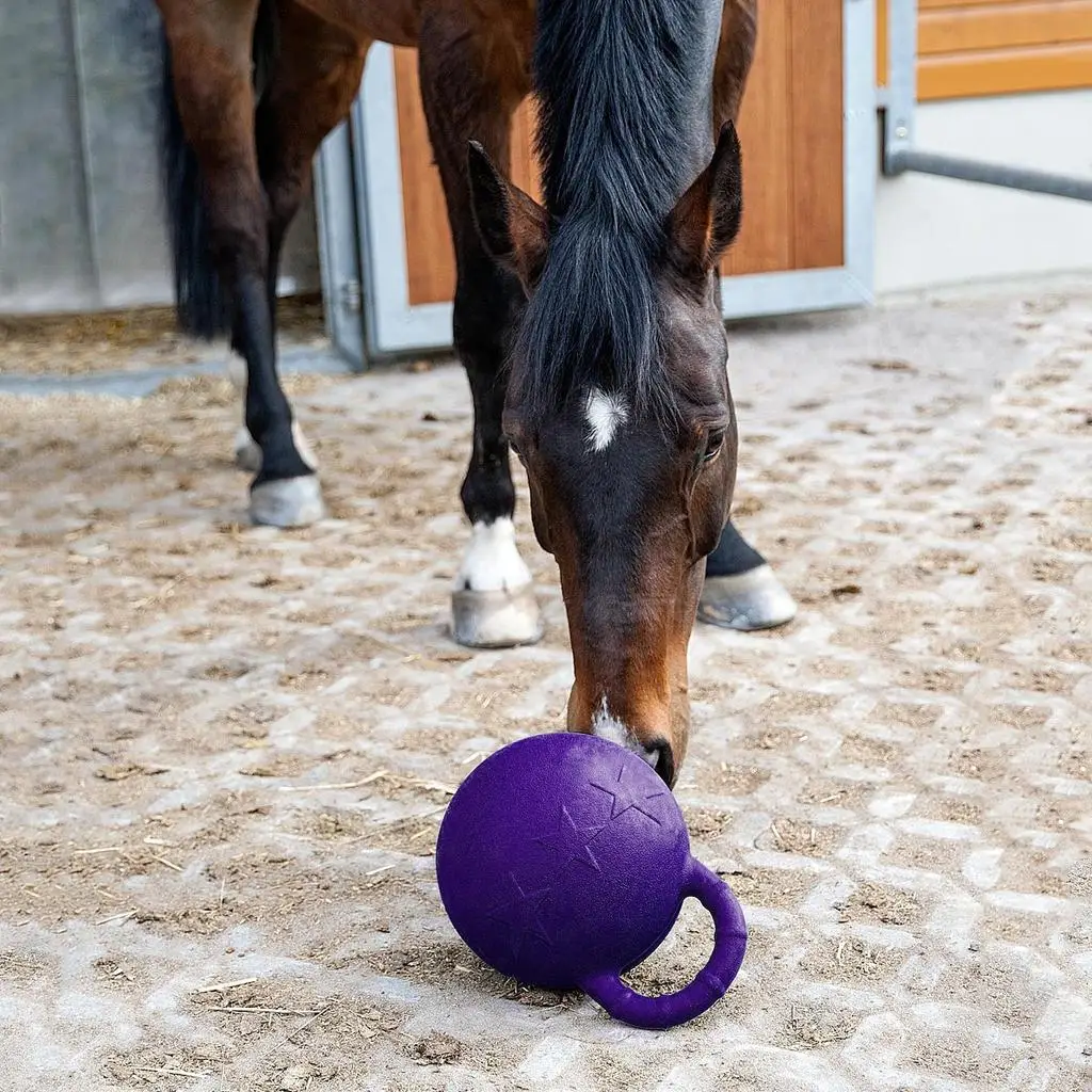 Juguete de juego de caballo perfumado con bola de goma deportiva equina de 28cm con mango