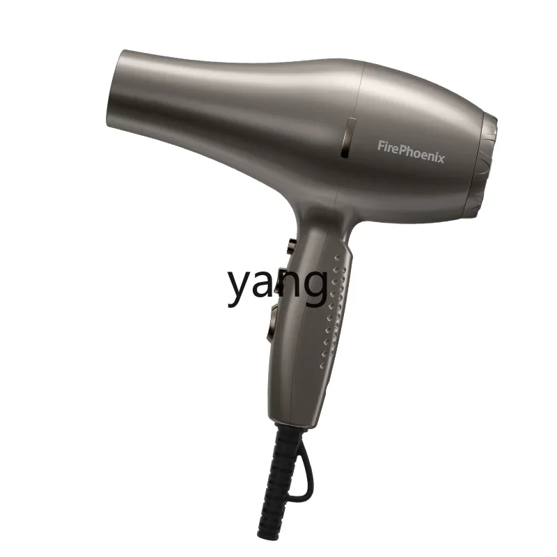 

L'm'm High-Power Barber Shop Hair Stylist Hair Dryer Strong Wind Hair Dryer