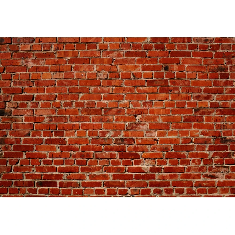 YeelsWhite-Arrière-Plan de Photographie Murale en Briques Vinyle, Jouet pour Animaux de Compagnie, Studio Photo, Baby Shower, Nouveau-Né, Enfant