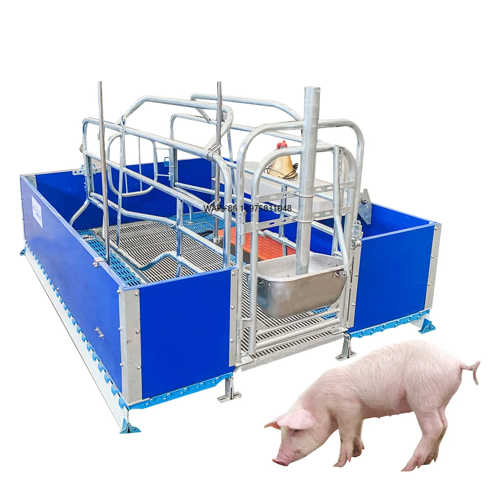 

Горячая новинка 2025: Клетка для свиноматок с обогревом для ухода за животными