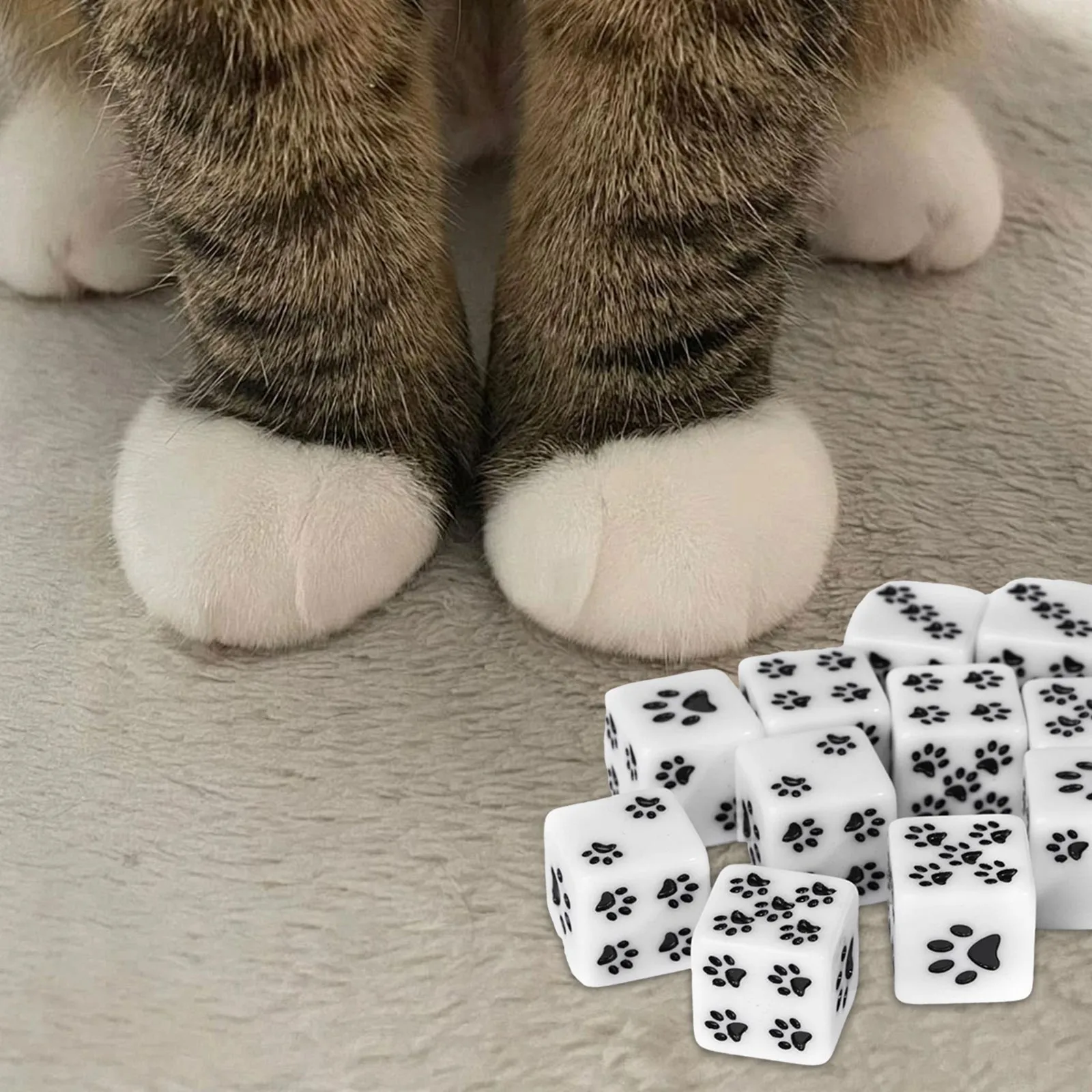 Base Battlefield Rocce D6 Set di dadi Piede di cane 6 pagine Dadi standard 6 dadi Accessori per feste Gioco da tavolo DND 16mm