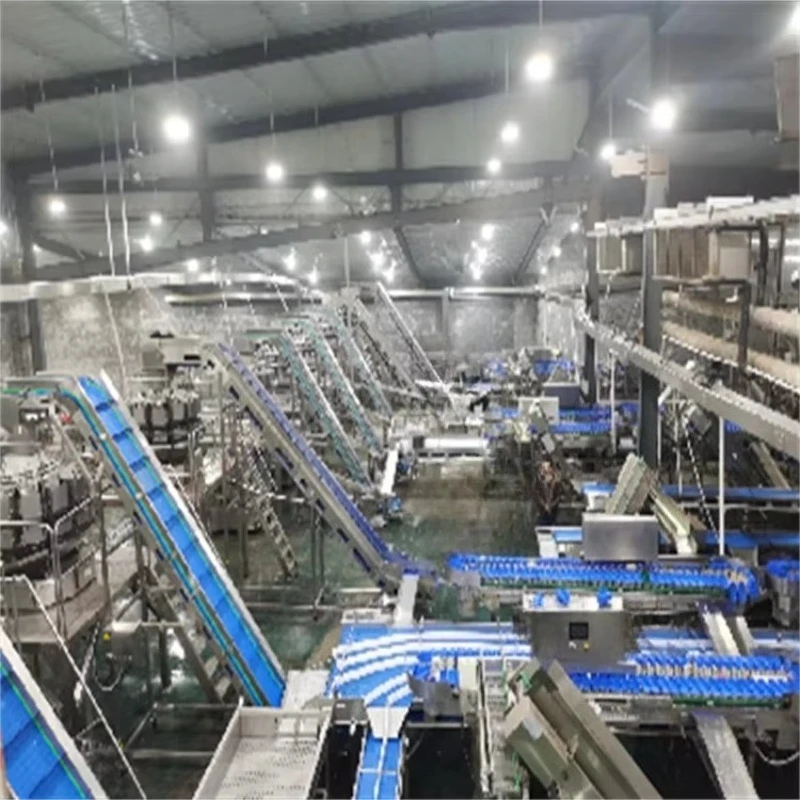 Fish Grading Machine Grader Sorting Shellfish Sorter