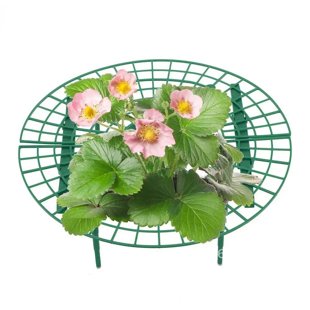 

Strawberry Planting Rack Holder Stand Frame Balcony Flower Vine Climbing Support Fruit Pillar Gardening 5/10/15/20 PC Stand